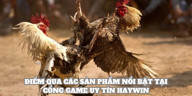 Điểm qua các sản phẩm nổi bật tại cổng game uy tín Haywin