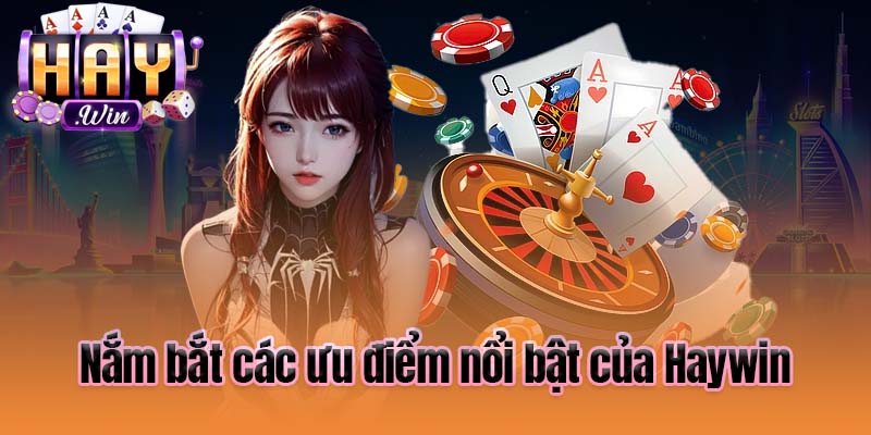 Nắm bắt các ưu điểm nổi bật của Haywin