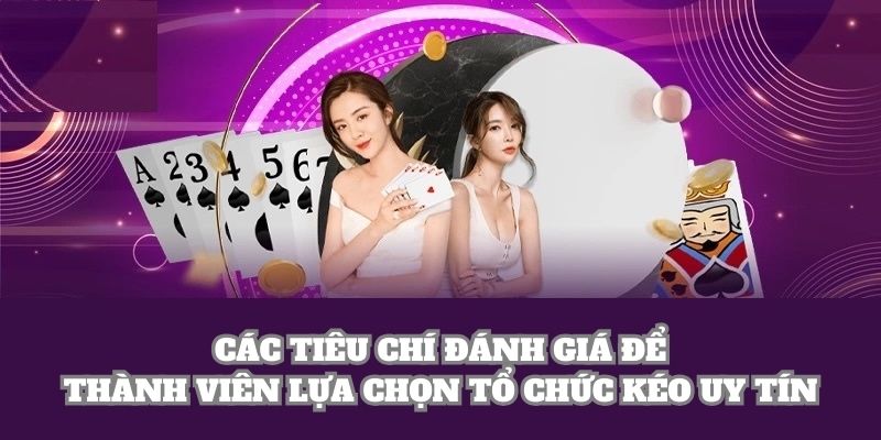 Các tiêu chí đánh giá để thành viên lựa chọn tổ chức kéo uy tín