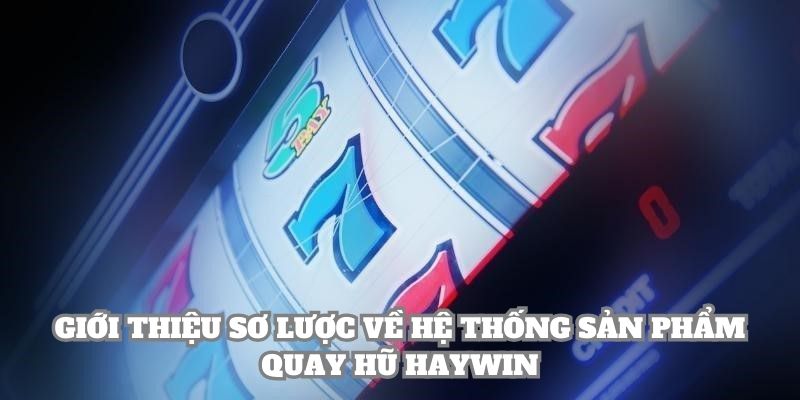Giới thiệu sơ lược về hệ thống sản phẩm quay hũ Haywin
