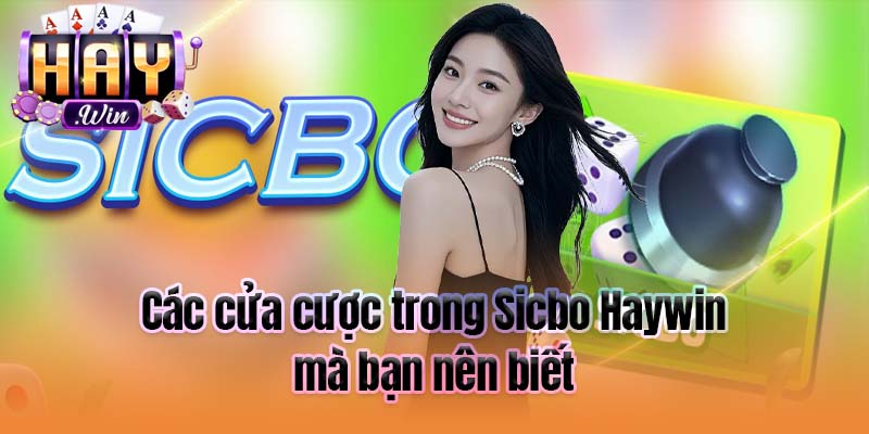 Các cửa cược trong Sicbo Haywin mà bạn nên biết