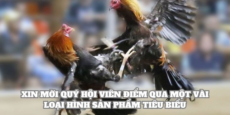 Xin mời quý hội viên điểm qua một vài loại hình sản phẩm tiêu biểu